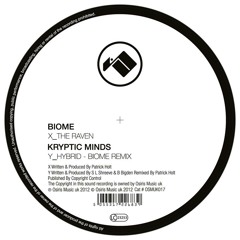 Hybrid (Biome Remix)