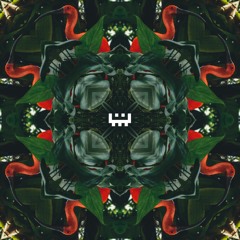 Vinsen Cekrani - Mon Colibri [ micromir 027 ]