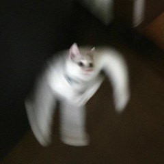 im having a rave in my room all by myself cover