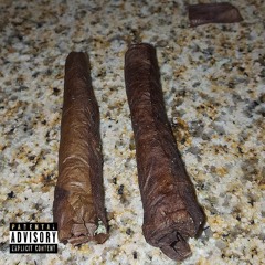 Two Glocks Freestyle | Mastered By Yung PlUg