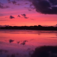 Chiku/Palauan Style - Wynona