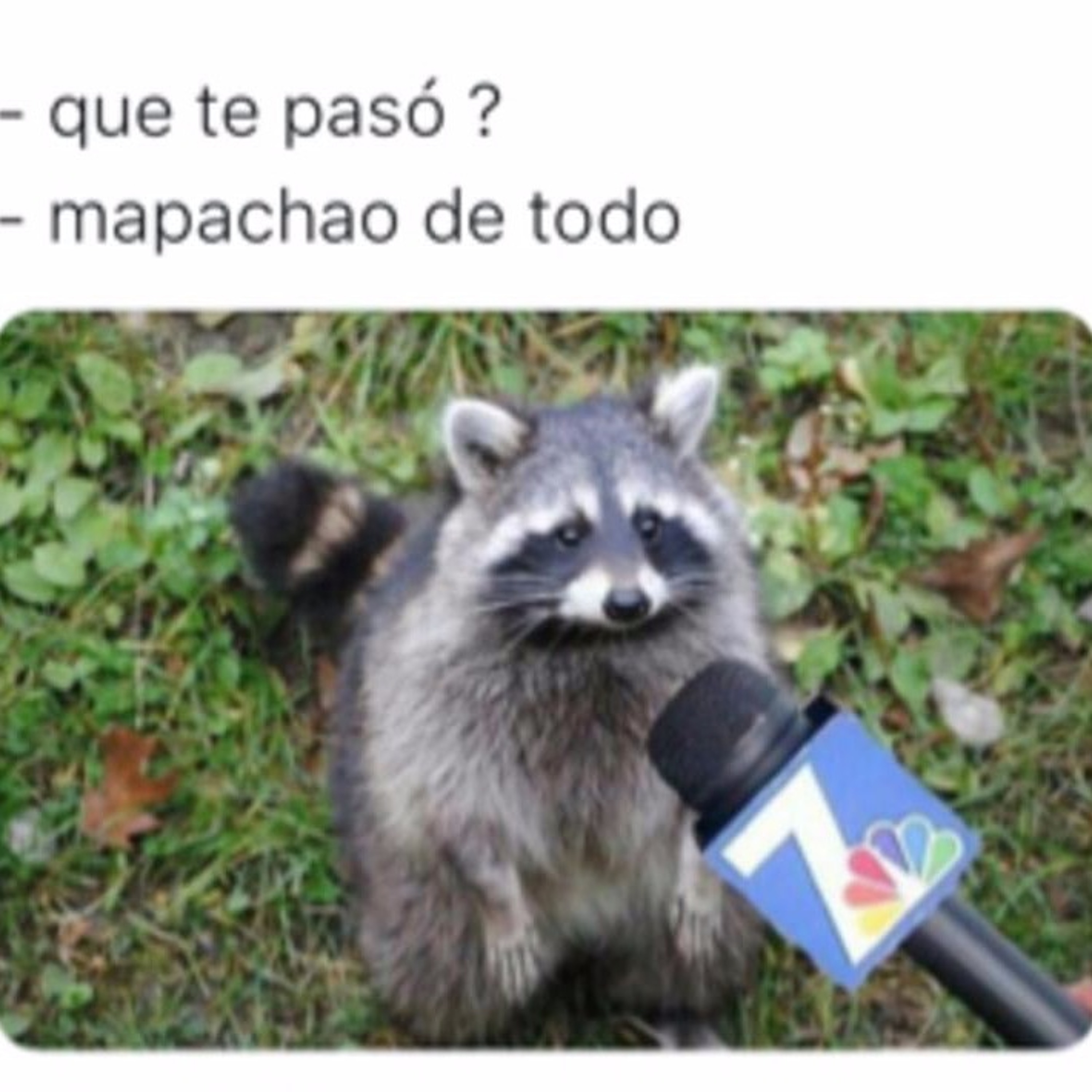 Clase Básica