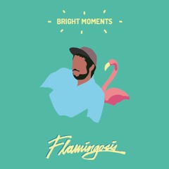 Flamingosis - An 8 Ball Affair