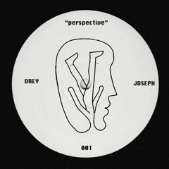 perspective 001