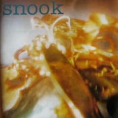 Spell It Out (Snook Demo)