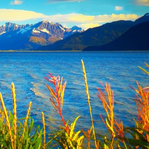 Calming Ocean Sounds White Noise (75 Minutes)