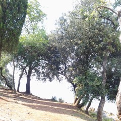 Madn - On The Way... 06 2005 1