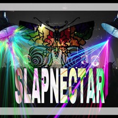 SLAPNECTAR