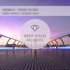Andomalix - Throught The Night