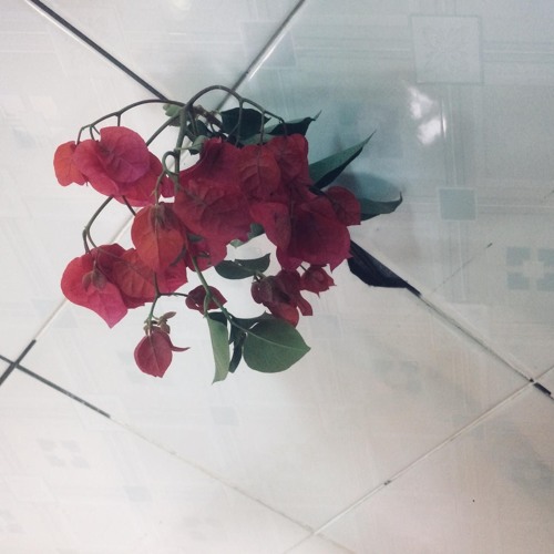 Mot Lieu Thuoc An Than
