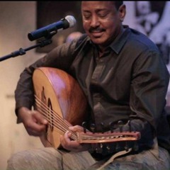 طارق أبو عبيدة - خضرة وصحاري ونيل
