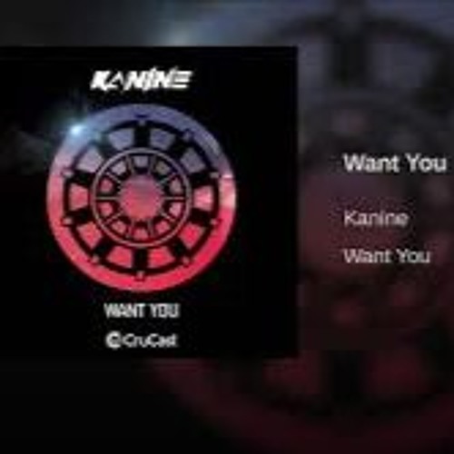 Kanine ft Mr Frankie - Want u (REMIX by Pascal Prischenk)