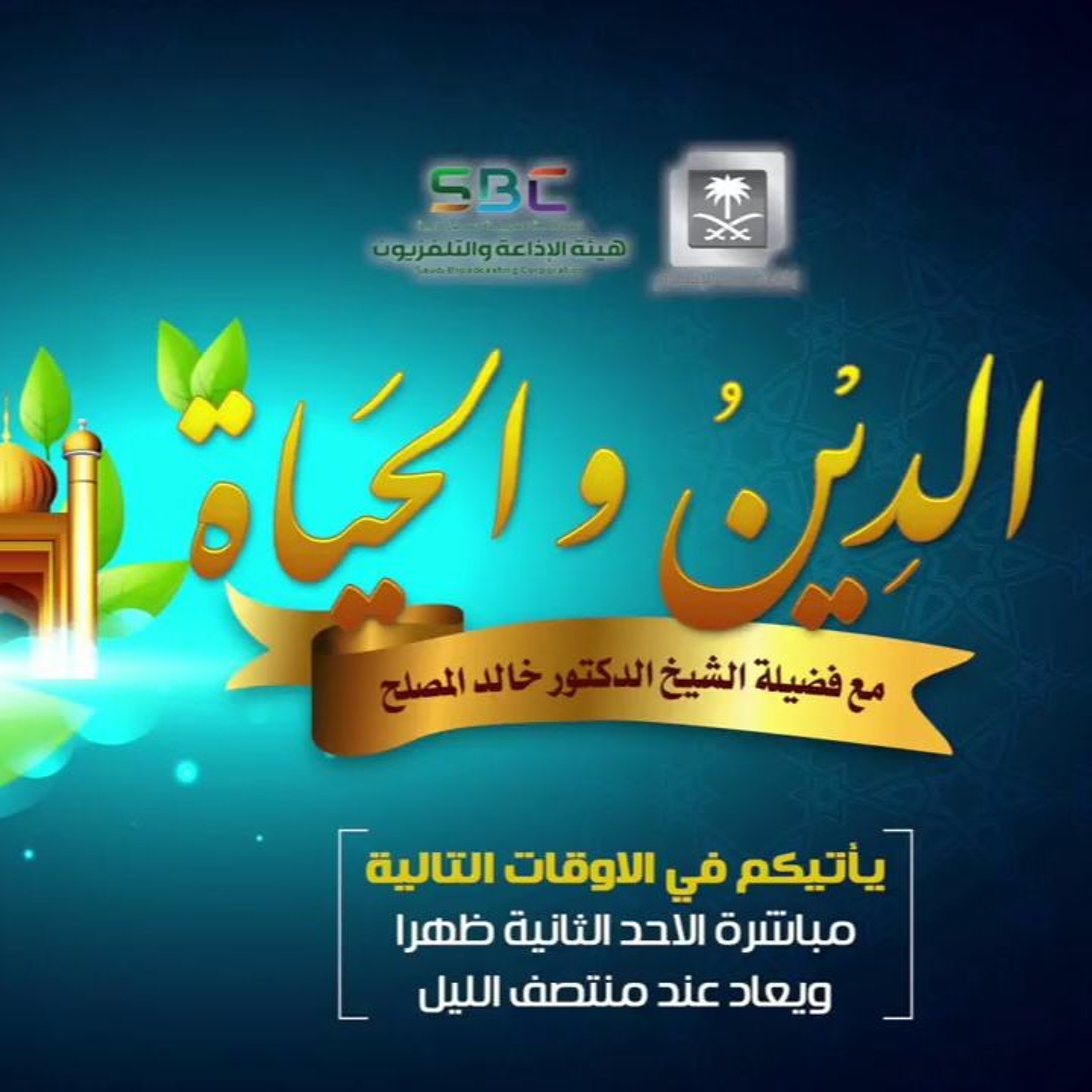 الحلقة(146) من برنامج الدين والحياة - وصايا لقمان - الجزء الثاني episode artwork