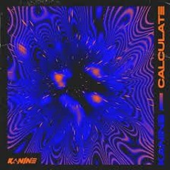 Kanine ft Wilkinson - Calculate (by Pascal Prischenk)