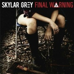Final Warning  by Skylar Grey (remix)