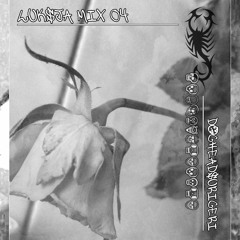 LUKSJA MIX 04 / dogheadsurigeri