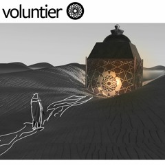 Deep-Bazar Podcast # 75 Voluntier.