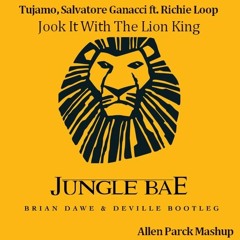 Jook It With The Lion King (Allen Parck Mashup)