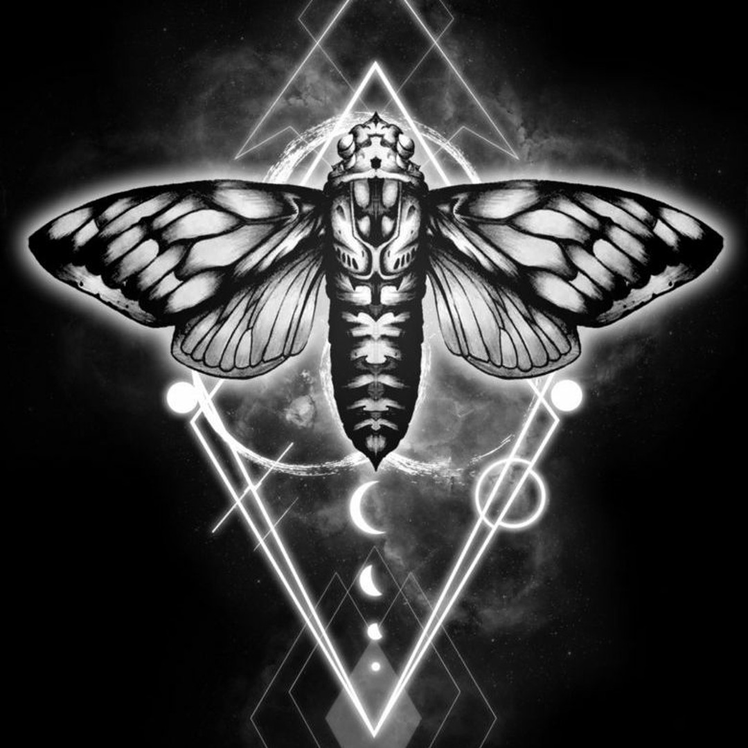 artworks-000501783432-2qe7p1-