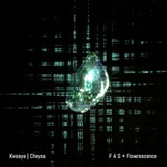 F A S + Flowrescence - Cheysa