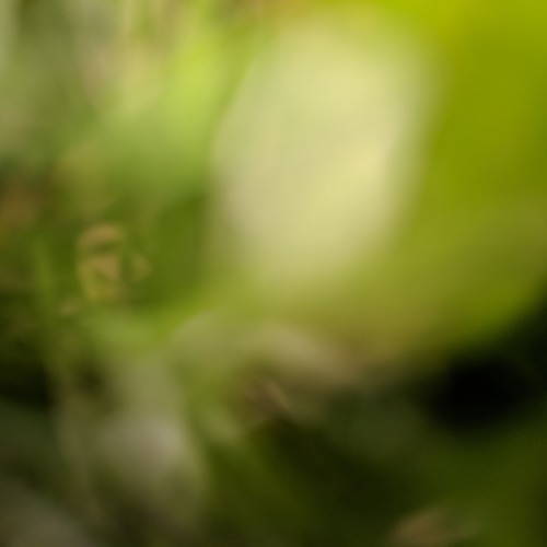 Ambient Soundscape 01