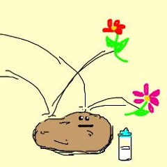 Bounce With The Flowers (unmastered)