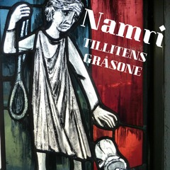 Namri - TILLITENS GRÅSONE (Prod. Luxray)