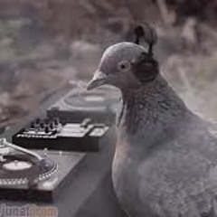 Birdy Wak Wak - Dirty Thirty (OG).wav