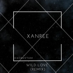 Fred V & Grafix - Hurricanes/WILD LOVE (XanRee Remix)
