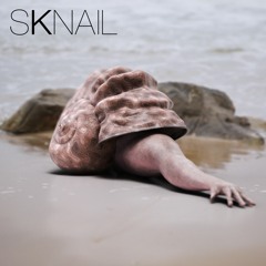 SKNAIL - Sixth Mutation