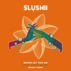 Slushii - Never Let You Go (Divinity Remix)