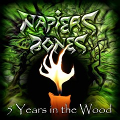 Wistmans Wood 2019 : The Hunt
