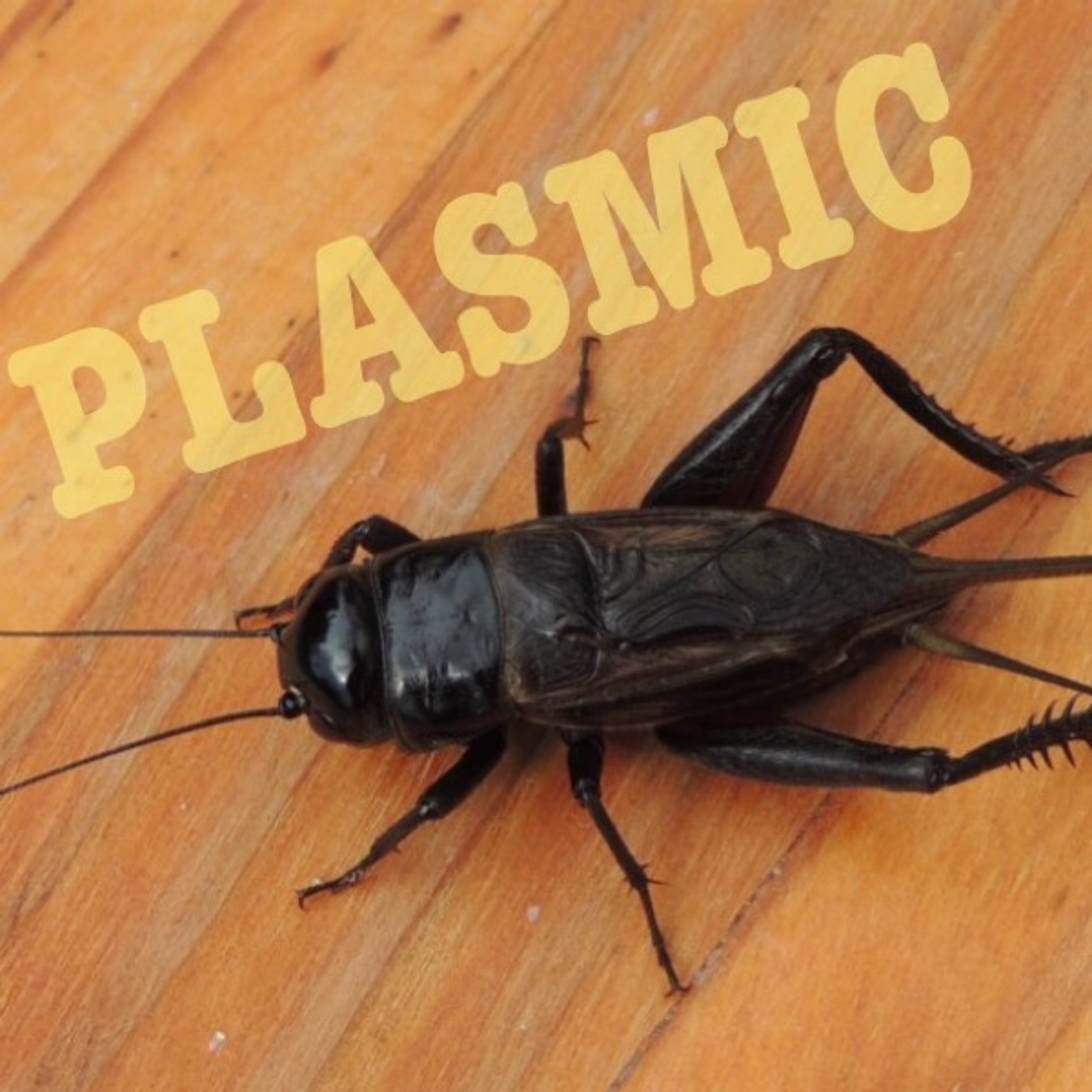 Plasmic Cricket episode artwork