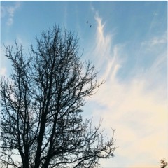 Spirit Boogie w/ Admin #6