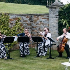16th century Pavane 4tissimo String Quartet