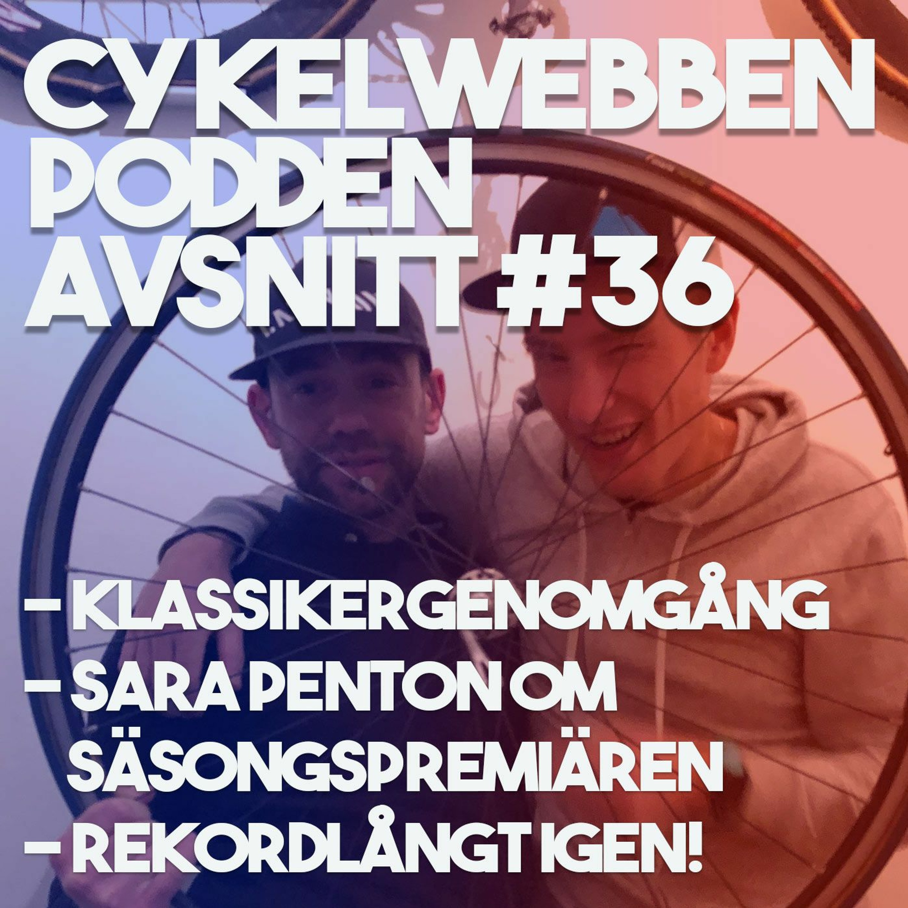 CykelwebbenPodden