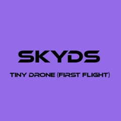 Tiny Drone (First flight)