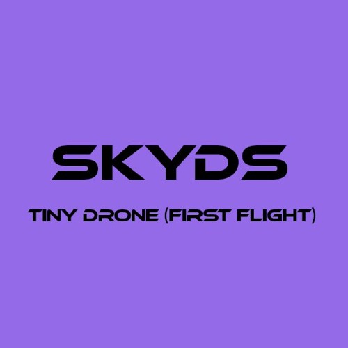 Tiny Drone (First flight)