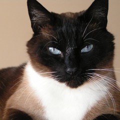 Pixel - my own composition