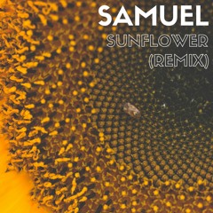Post Malone - Sunflower (Remix)