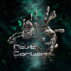 Ani Klang - Incursions You Will Find