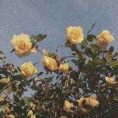 lonely summer