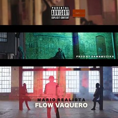 Mario Realista -Flow Vaquero