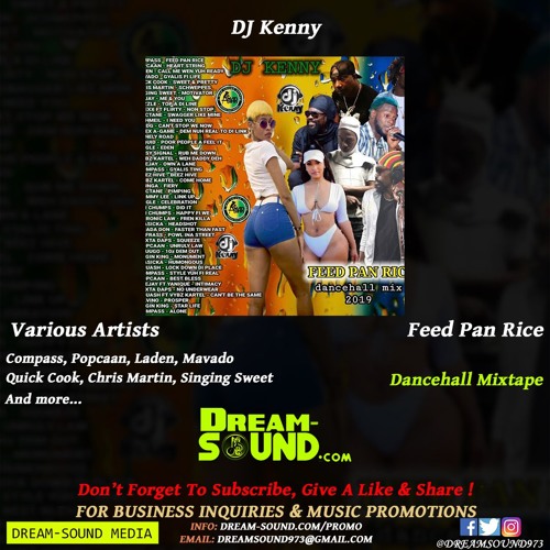 DJ Kenny  - Feed Pan Rice (Dancehall Mixtape 2019)