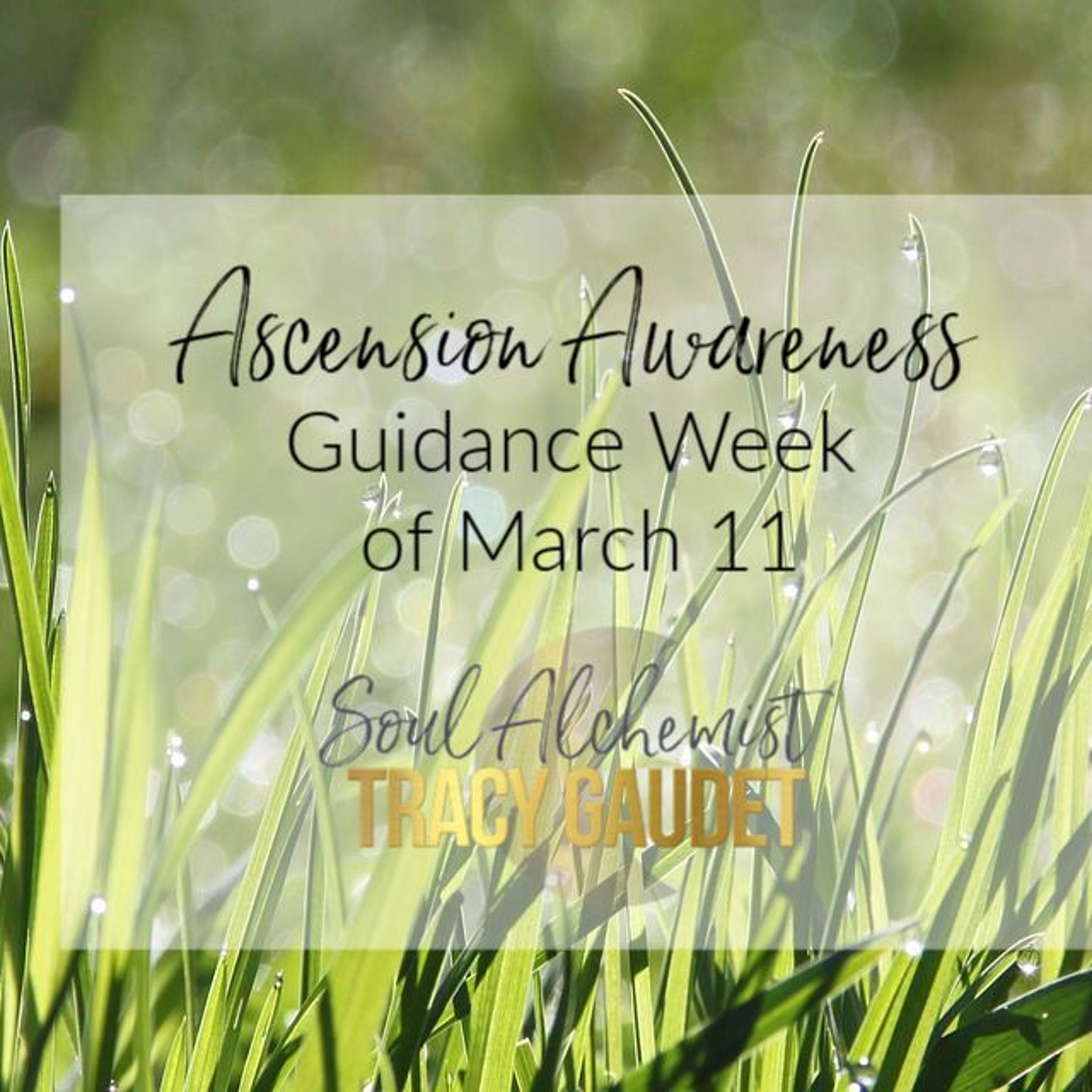 Ascension Alchemy Podcast