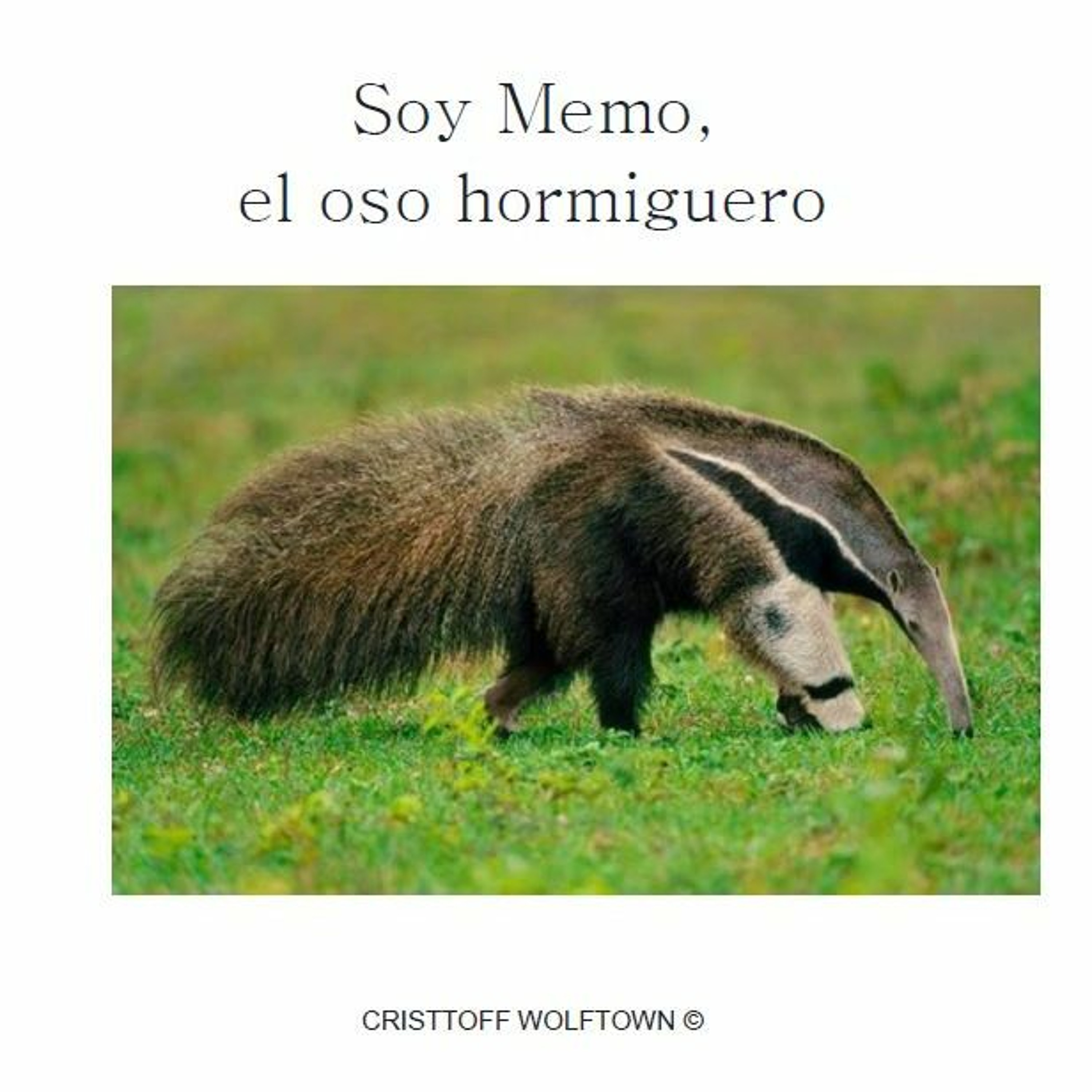 La Dicha de Escribir y Escuchar