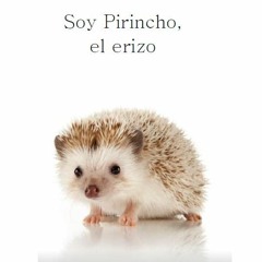 Soy Pirincho el erizo