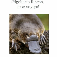 Rigoberto Rincon, ese soy yo