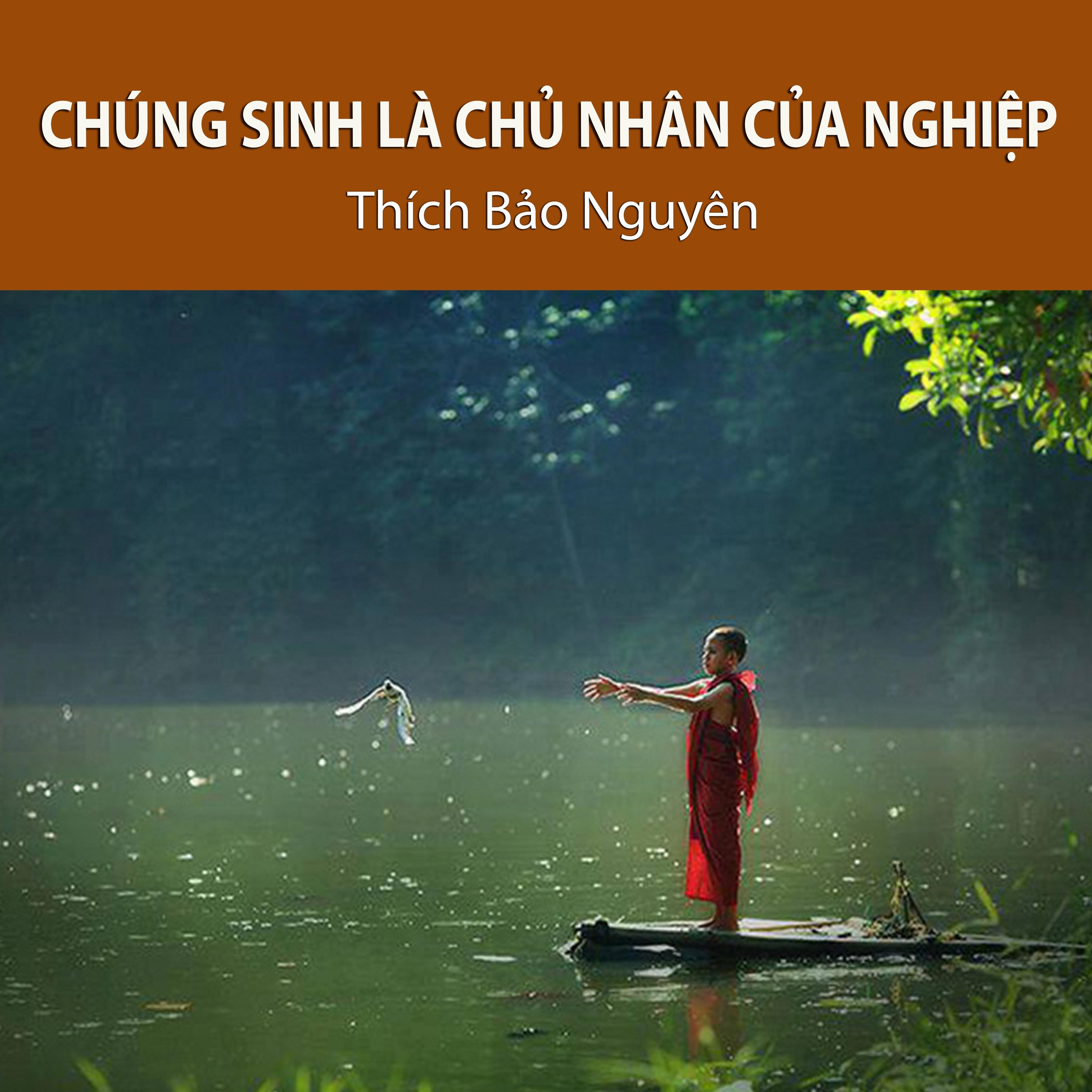 Thích Bảo Nguyên