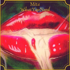 Mita - What You Need